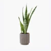 product-image-6_optimized Faucibus Interdum